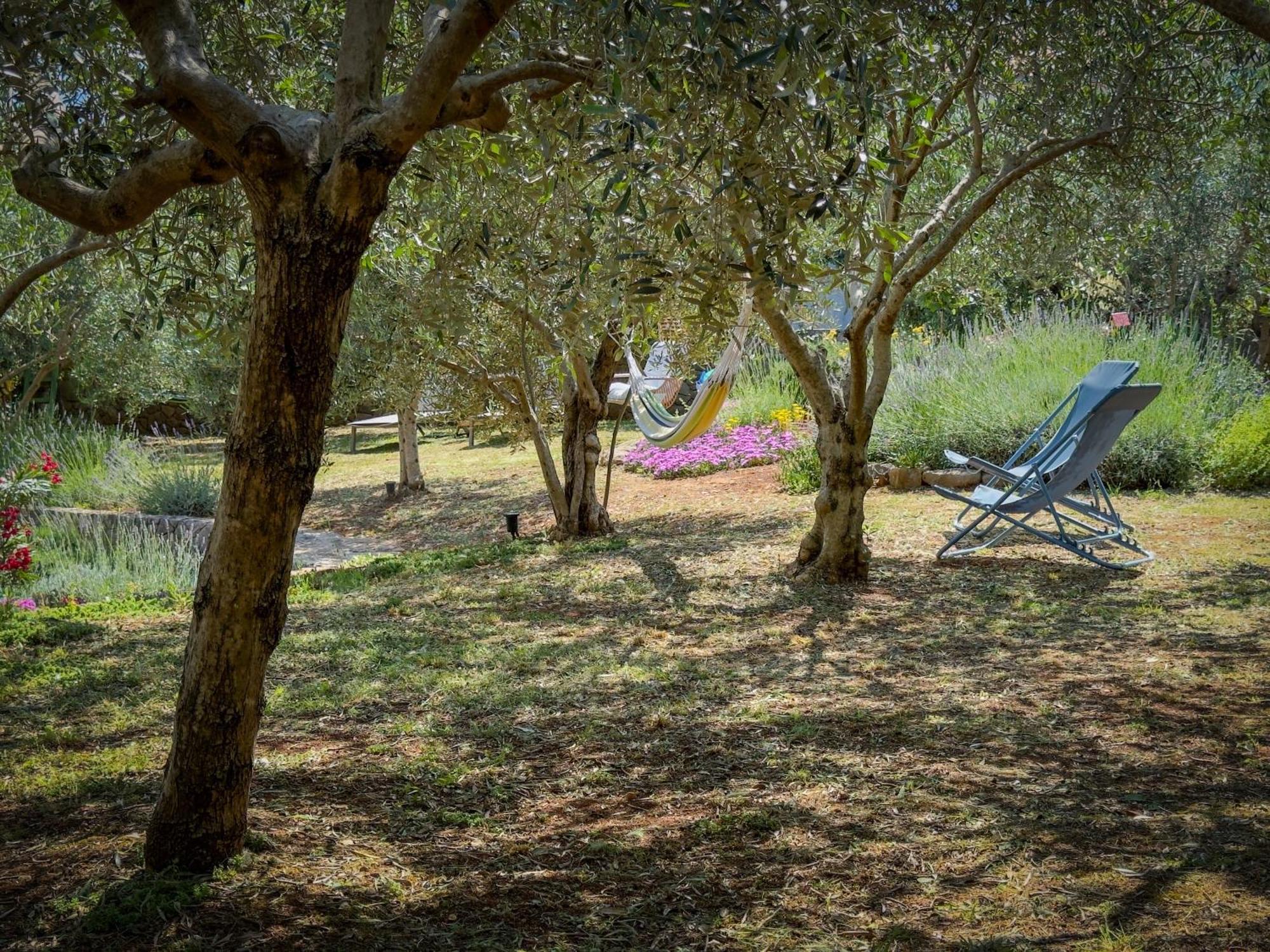 Holiday Home Lavanda Kornic Bagian luar foto